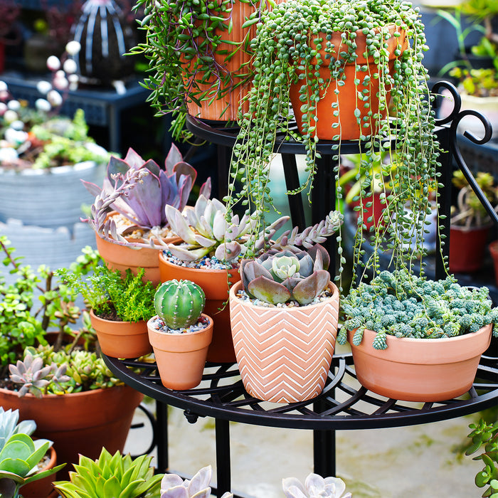 3-Tier Semicircular Outdoor Garden Shelf Patio Decoration