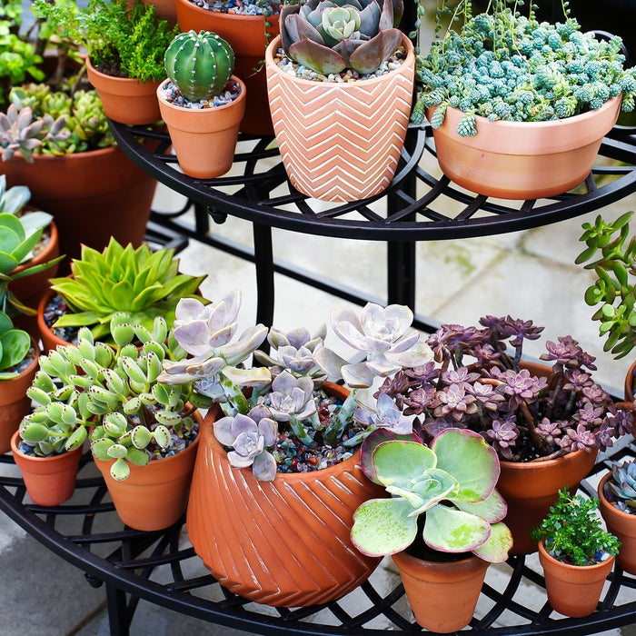 3-Tier Semicircular Outdoor Garden Shelf Patio Decoration