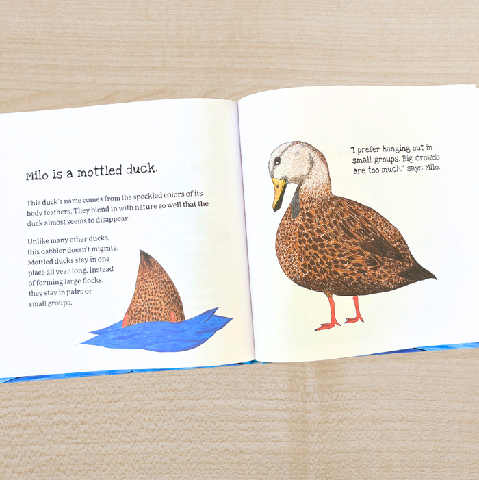 Little Birdie Buddies - Books