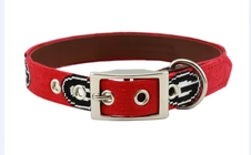 Smathers & Branson Dog Collar